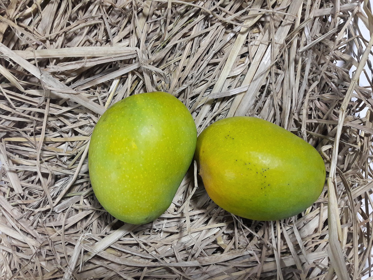 Image - alphonso alfonso mangoes mango