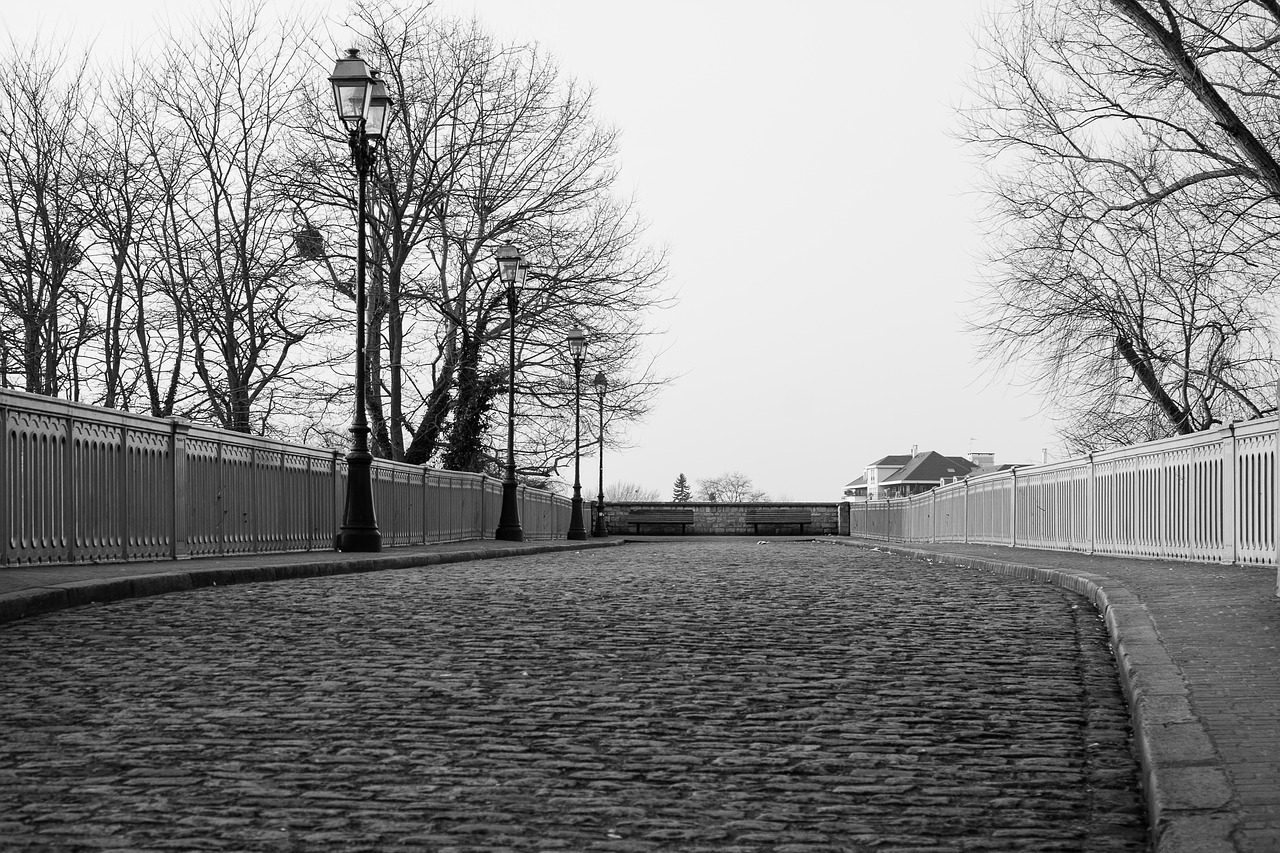 Image - bridge pavement former