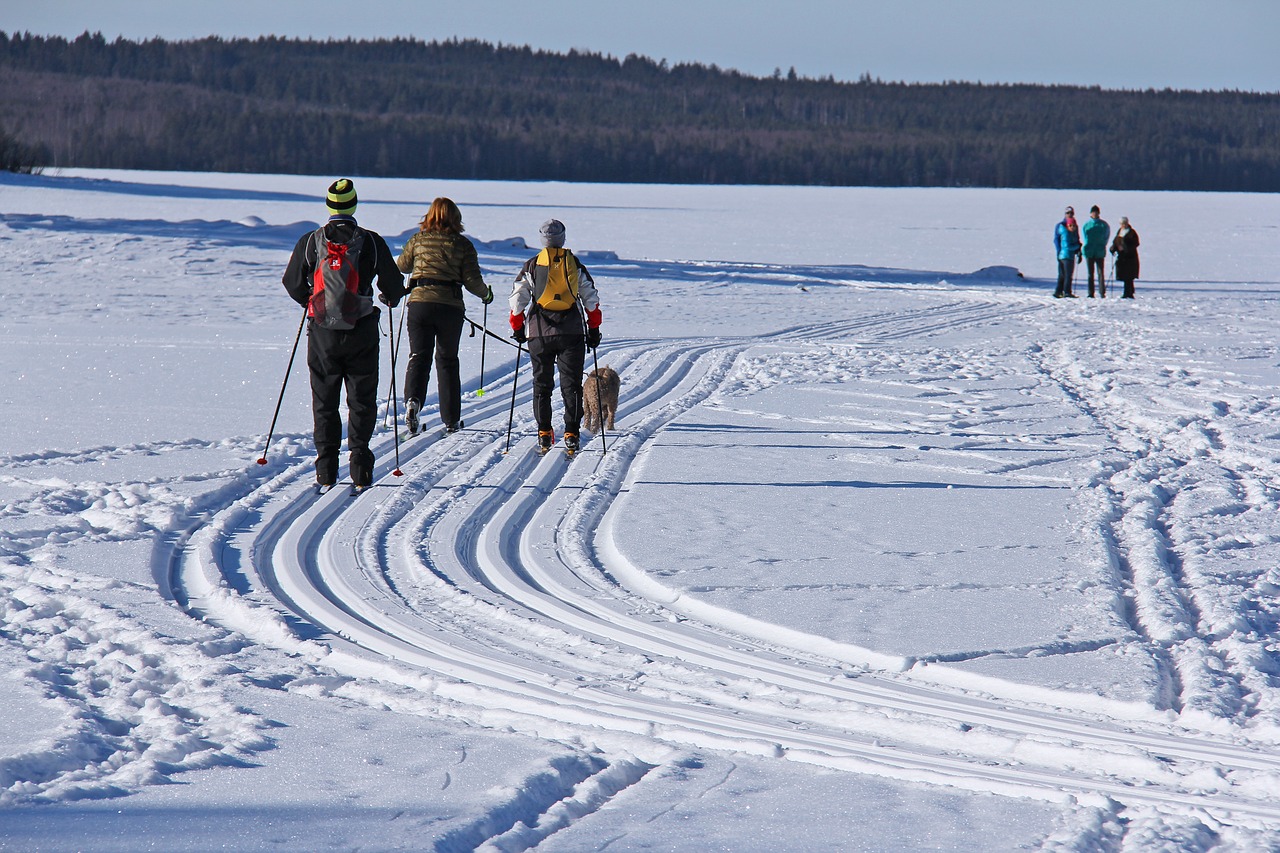 Image - ski skiing frozen lake siljan lake