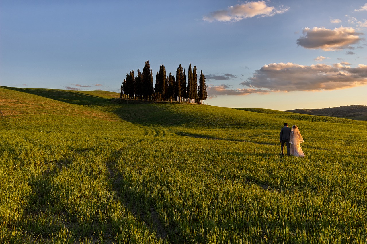 Image - hills tuscany siena valdorcia