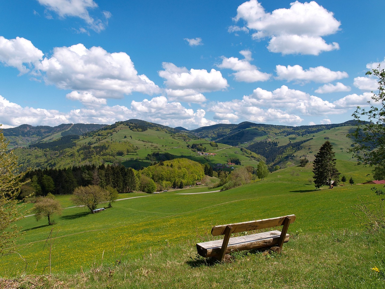 Image - landscape black forest germany