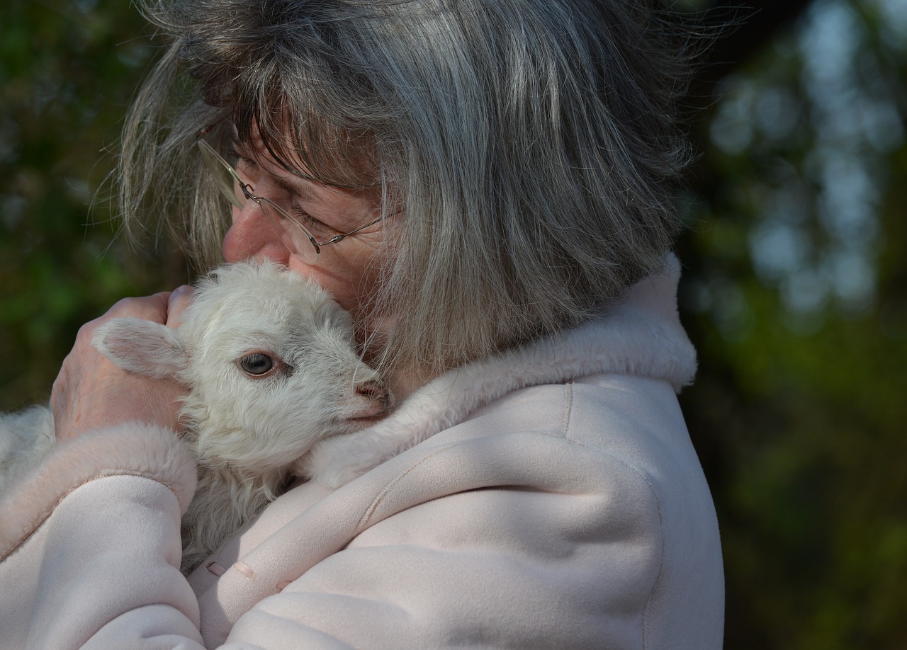 Image - woman animals sheep easter lambs