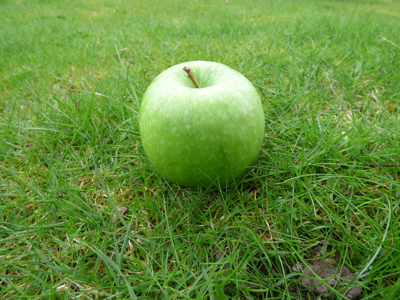 Image - apple grass green