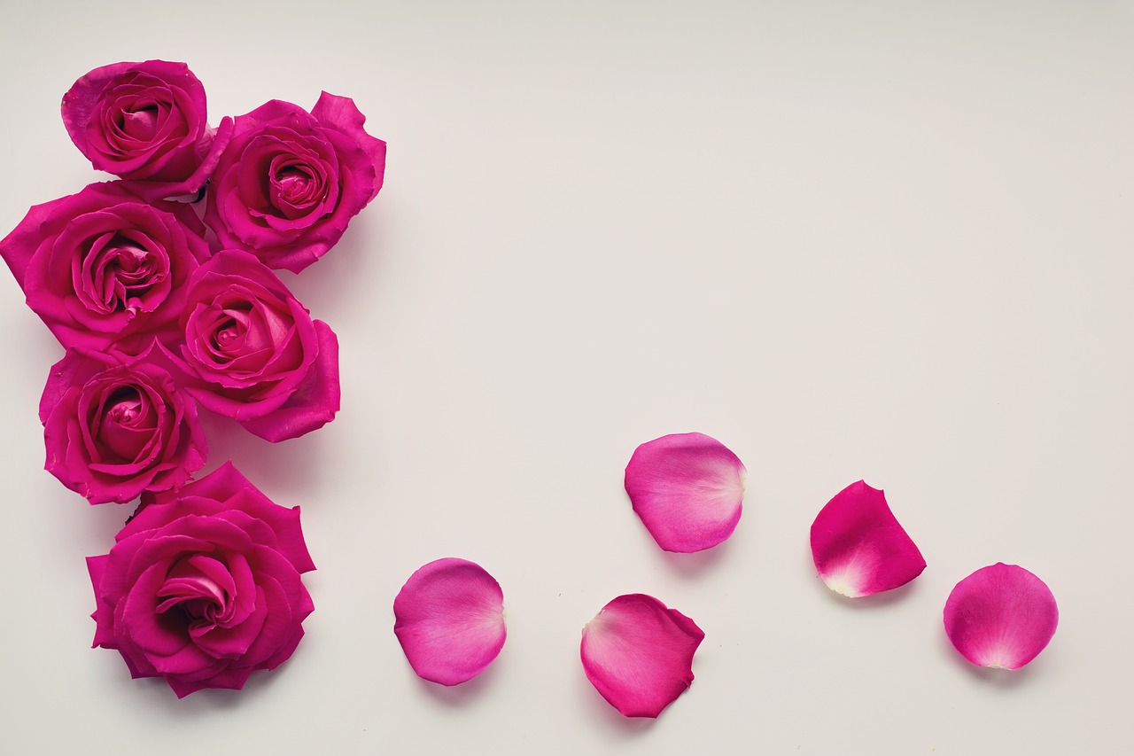 Image - roses petals background