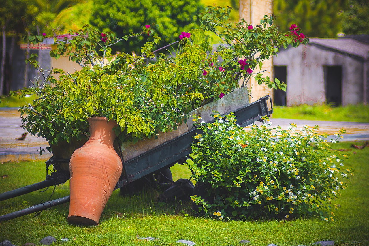 Image - nature flowers cart plants garden