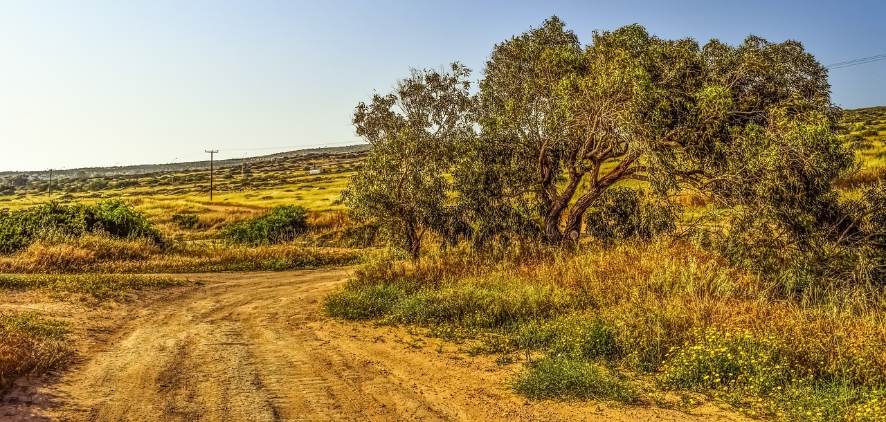 Image - dirt road tree landscape scenery