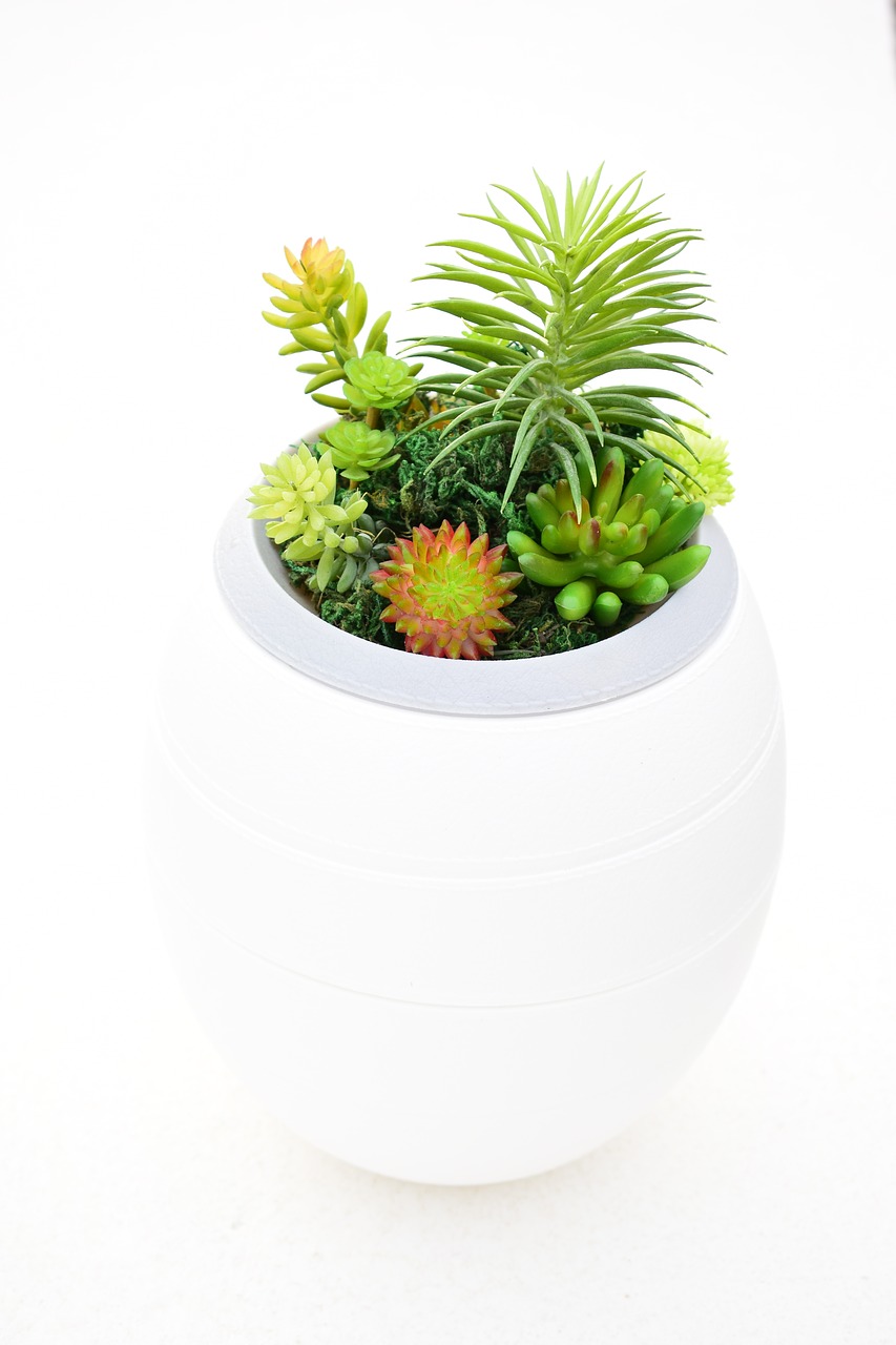 Image - plants urns funeral home ecology