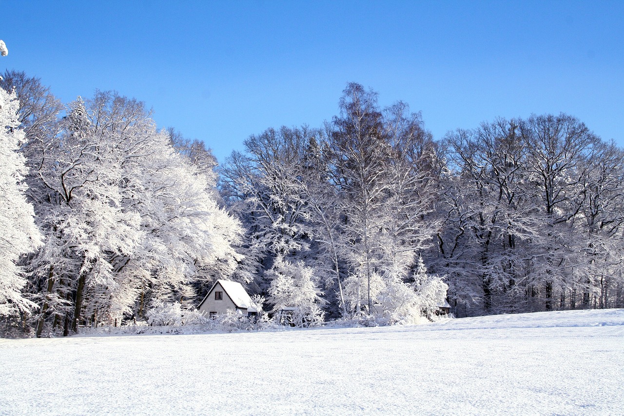 Image - winter landscape snow cold wintry