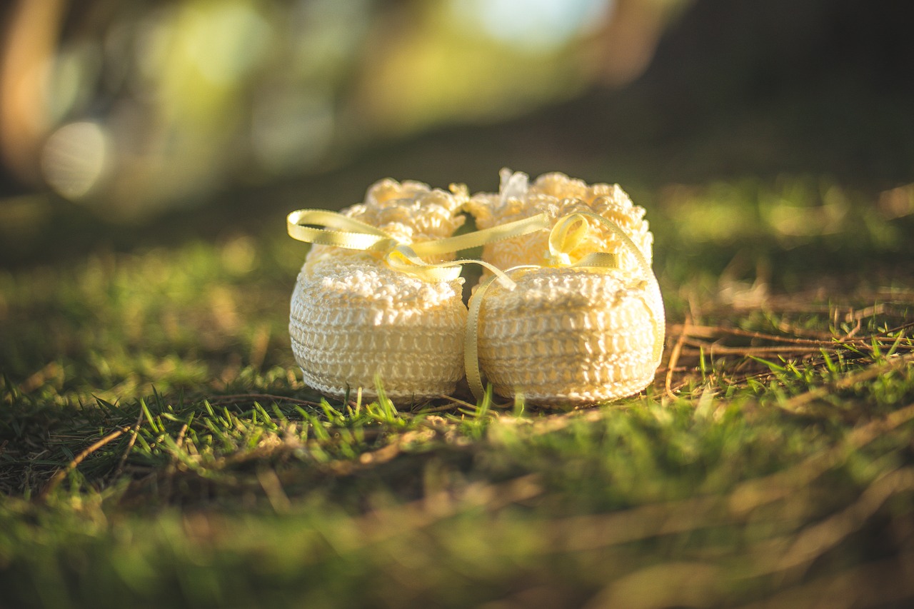 Image - grass vegetation evening shoe