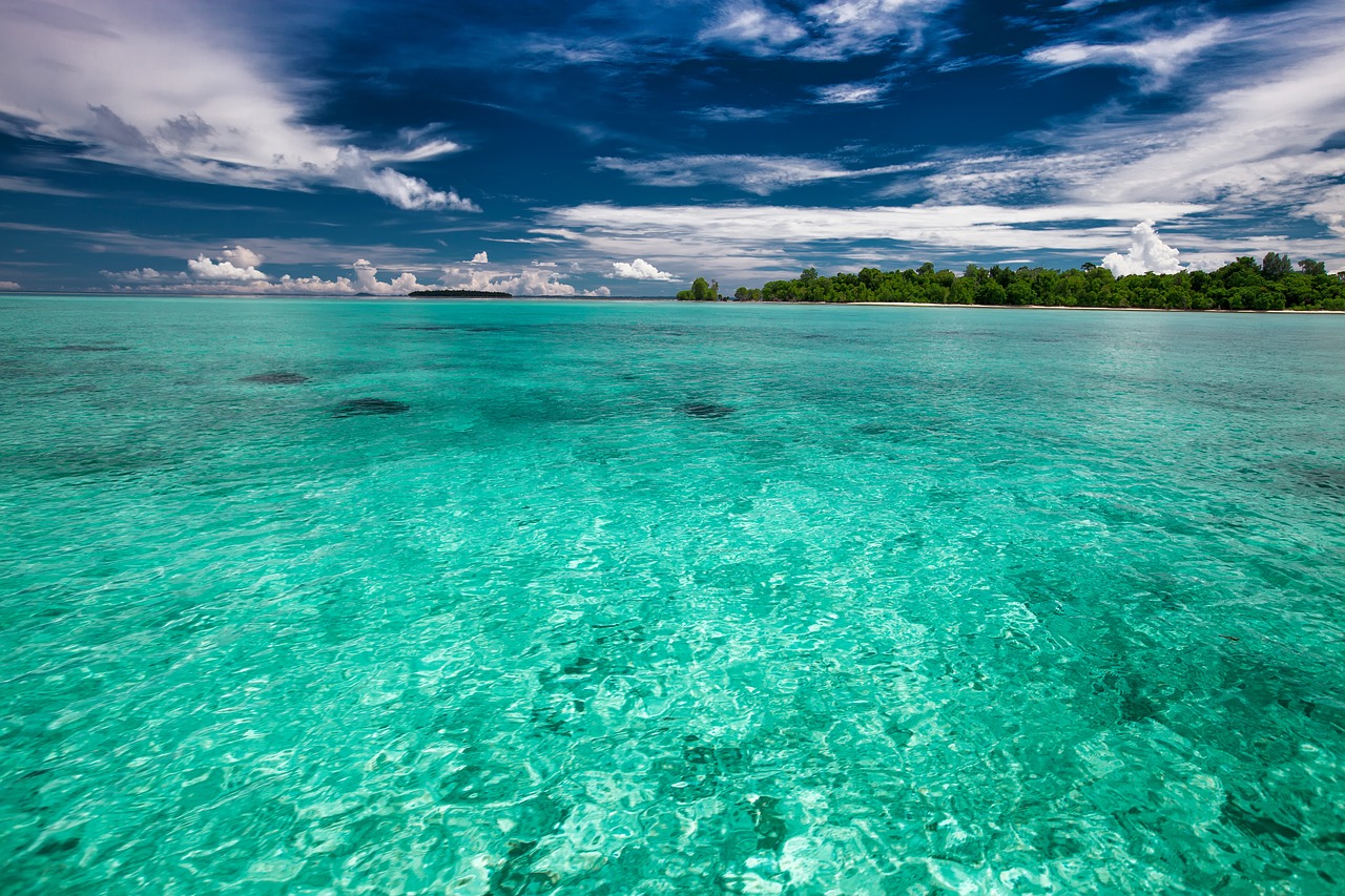 Image - the shallow sea tropical kojima