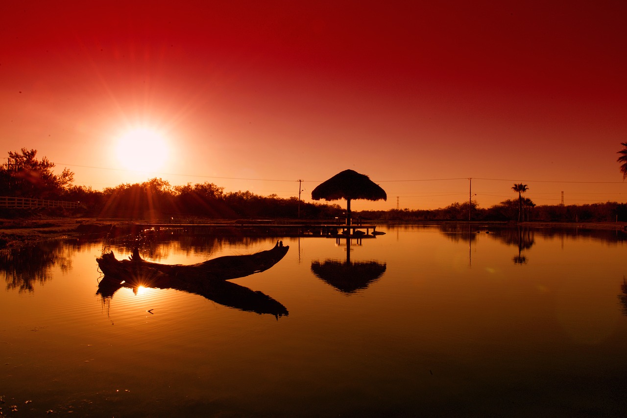 Image - sunset lake water nature sky