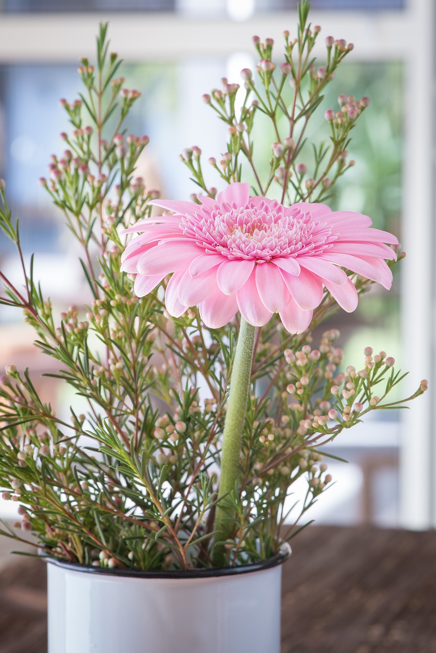 Image - gerbera pink pink gerbera vase