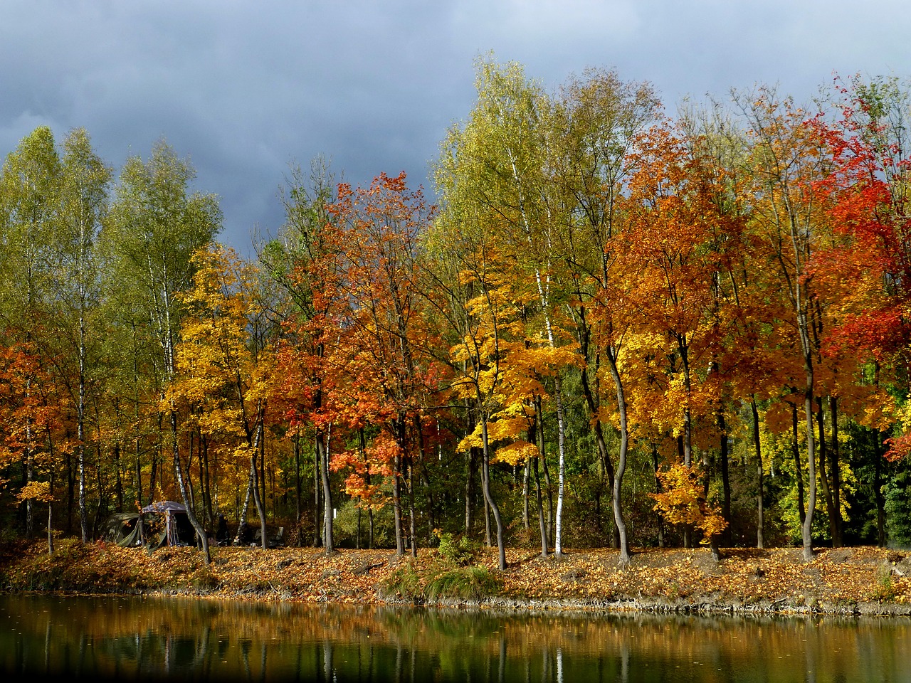 Image - autumn forest golden lake mirroring