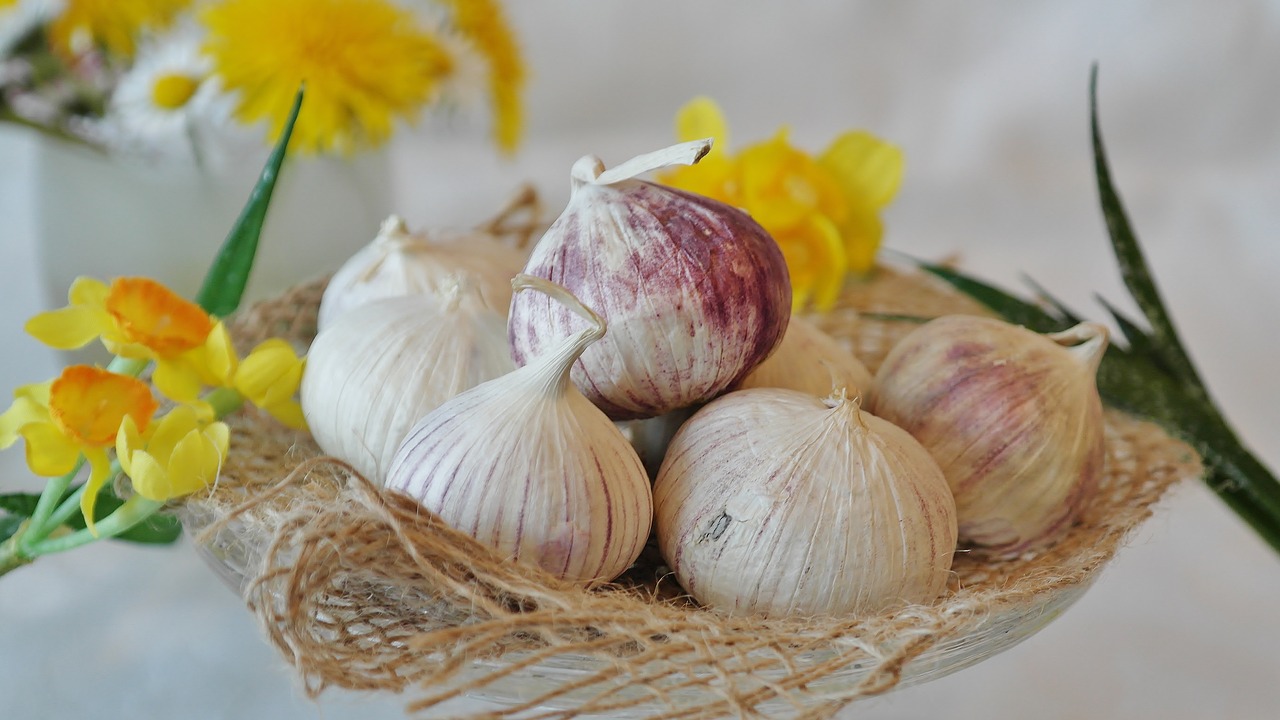 Image - garlic chinese garlic allium sativum