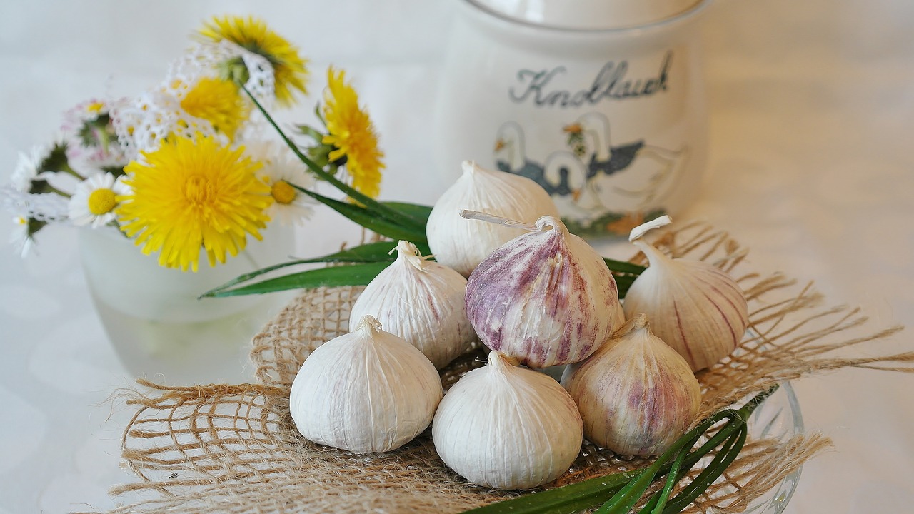 Image - garlic chinese garlic allium sativum