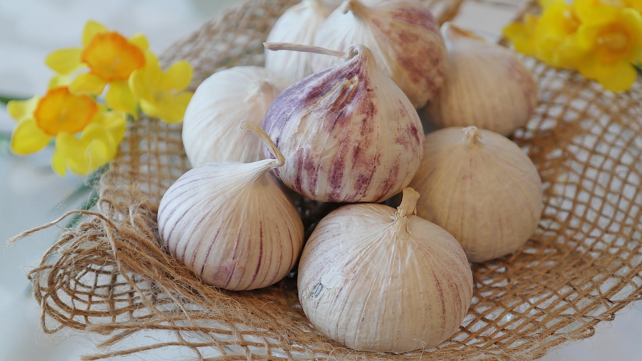 Image - garlic chinese garlic allium sativum