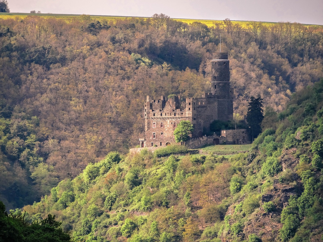 Image - castle mouse castle rhine raptors