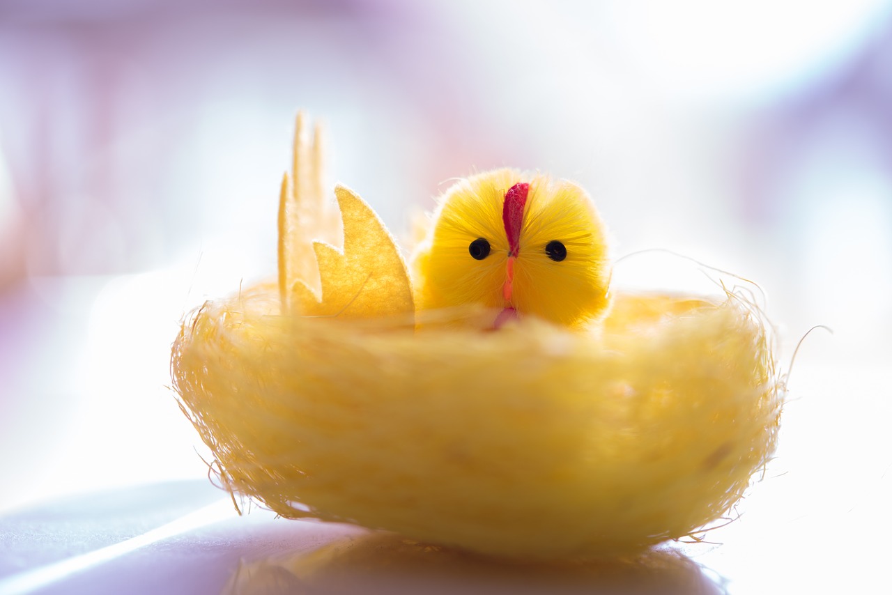 Image - yellow chick decorative chicken