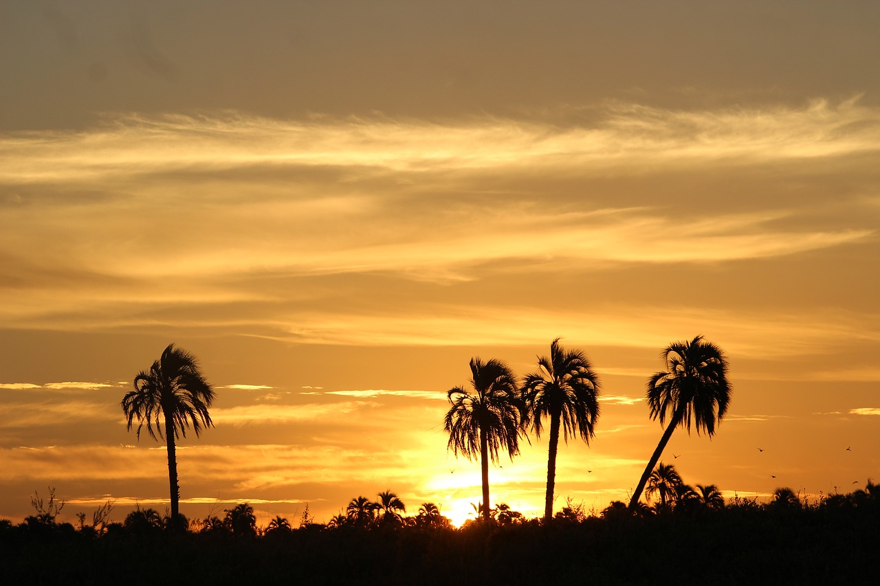 Image - sunset palmar between rivers palms