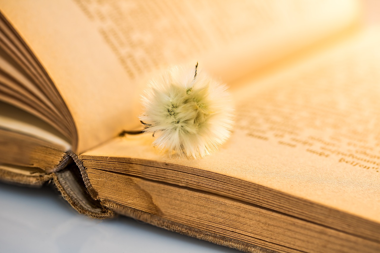 Image - old book small dandelion faded