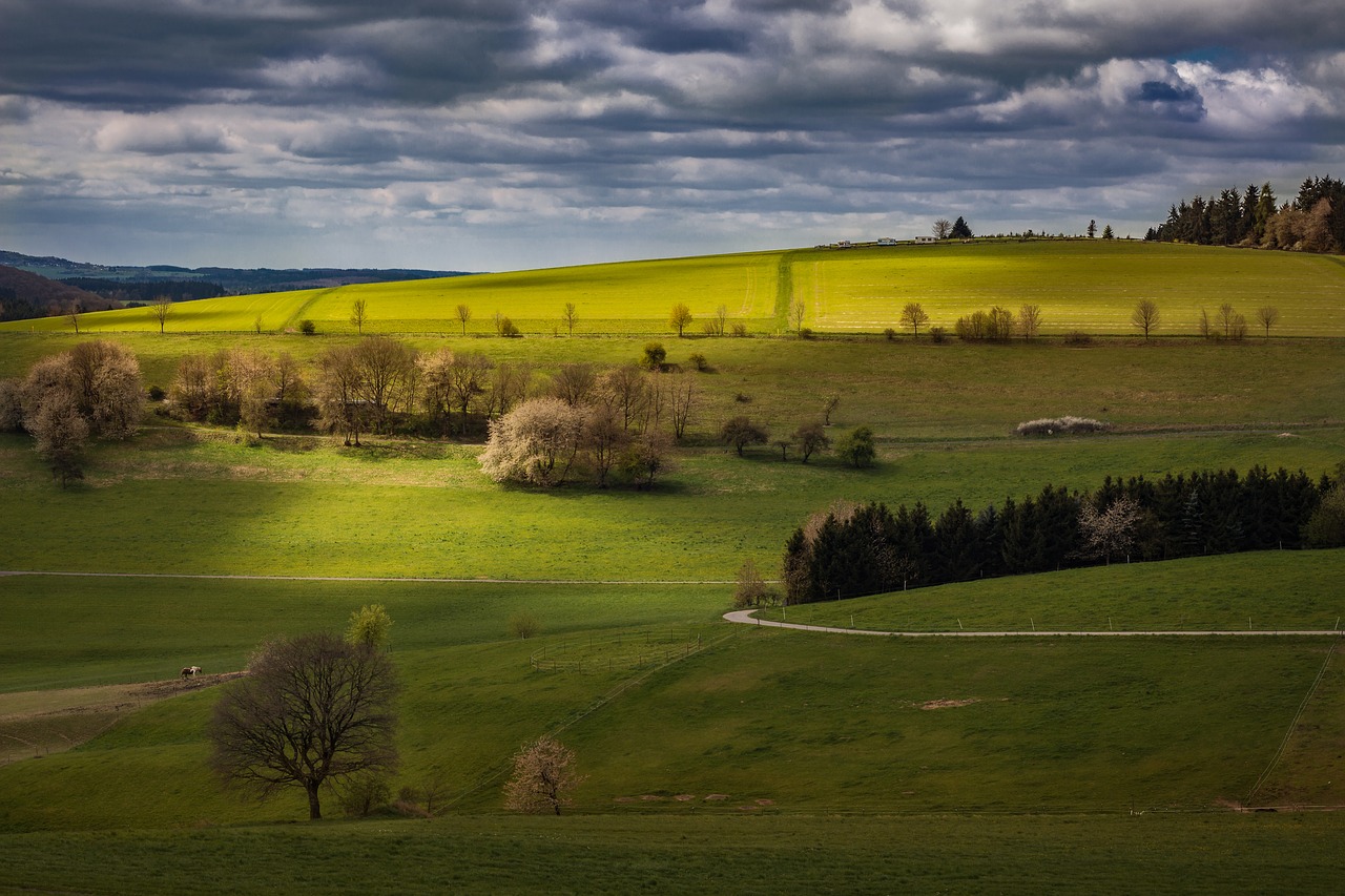 Image - landscape eifel germany