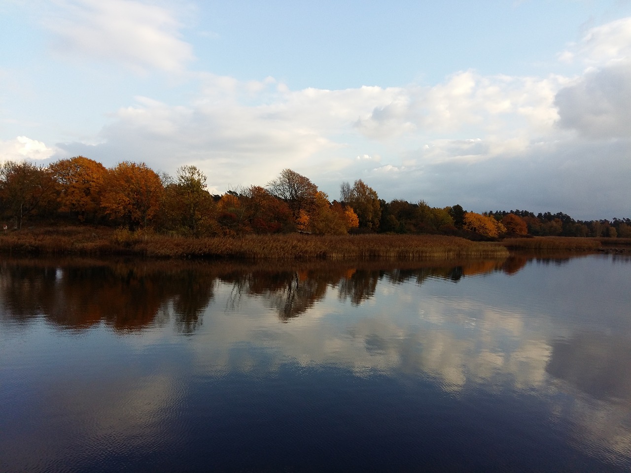 Image - trees autumn water sky day nature