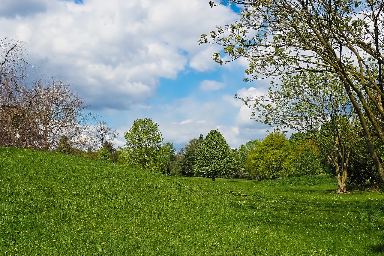 Image - landscape field nature agriculture