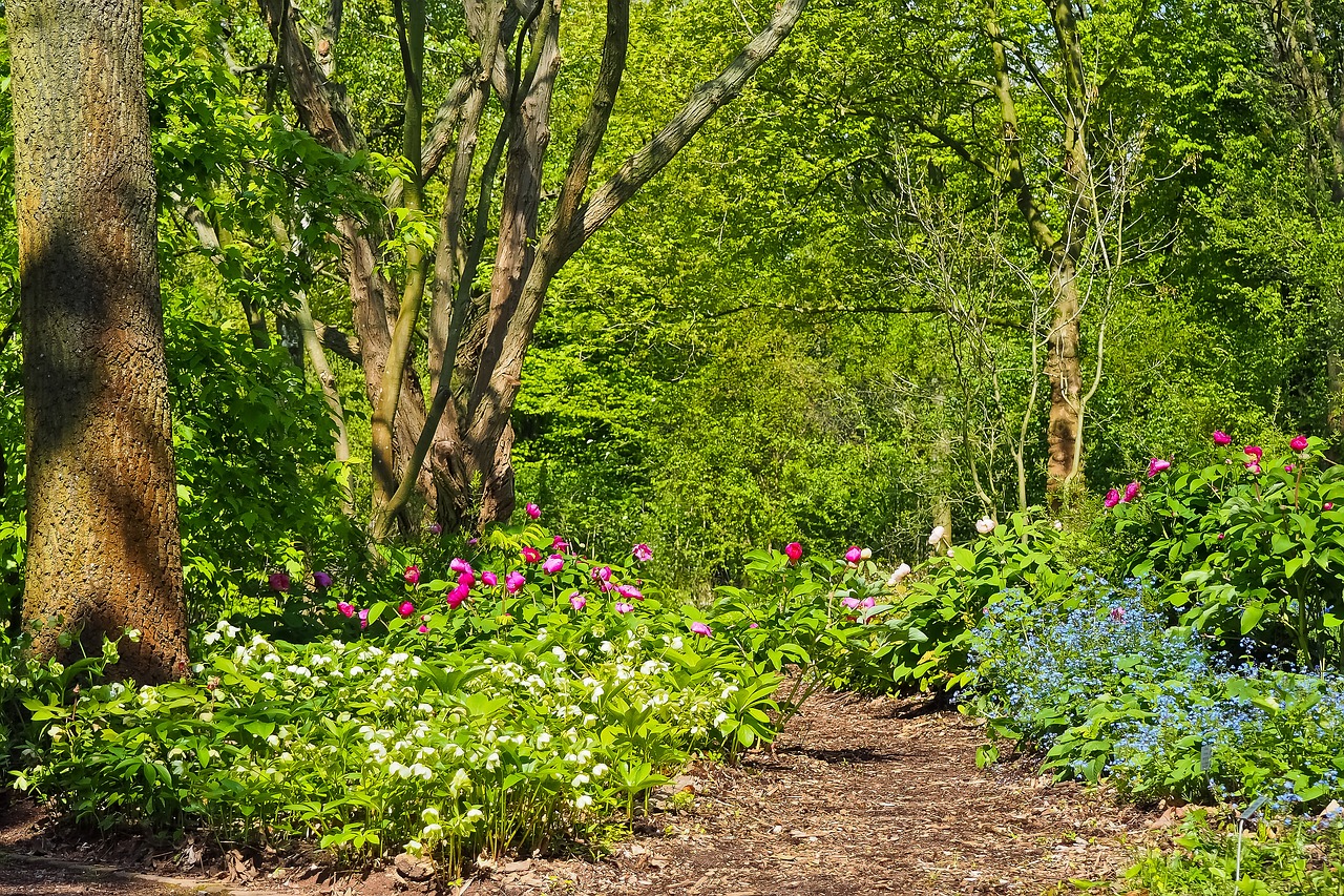 Image - landscape field nature agriculture