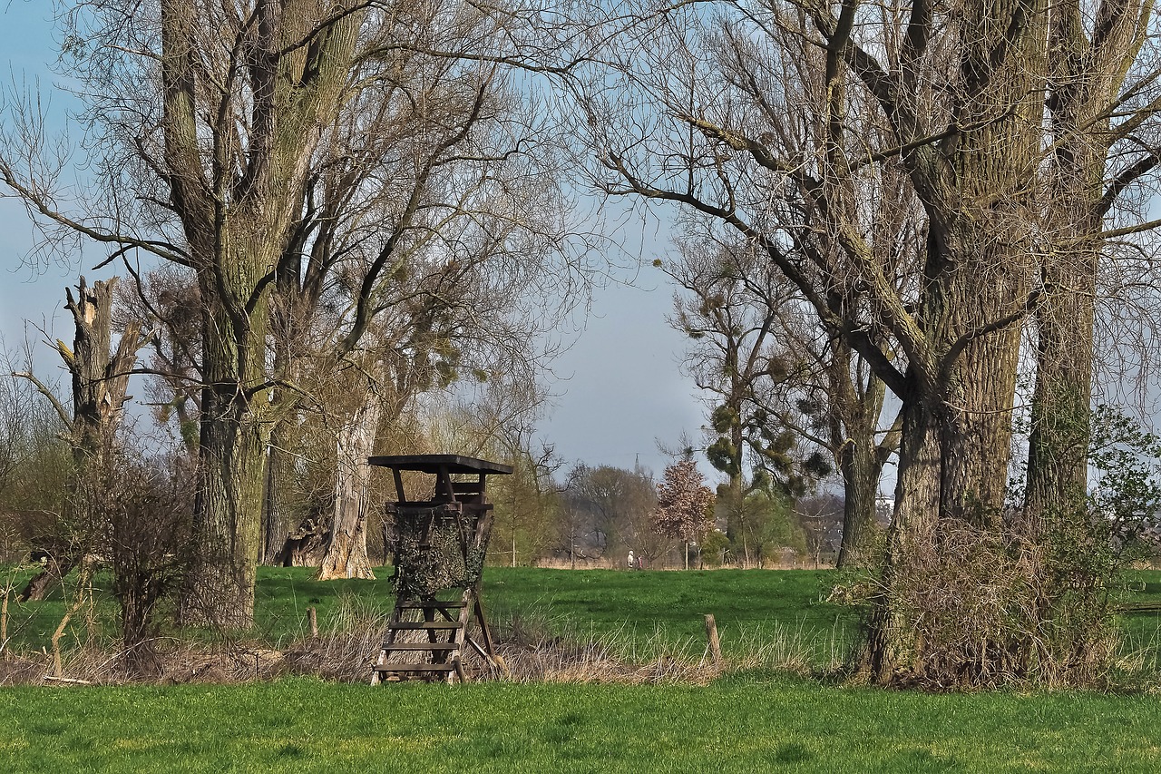 Image - landscape meadowlands trees