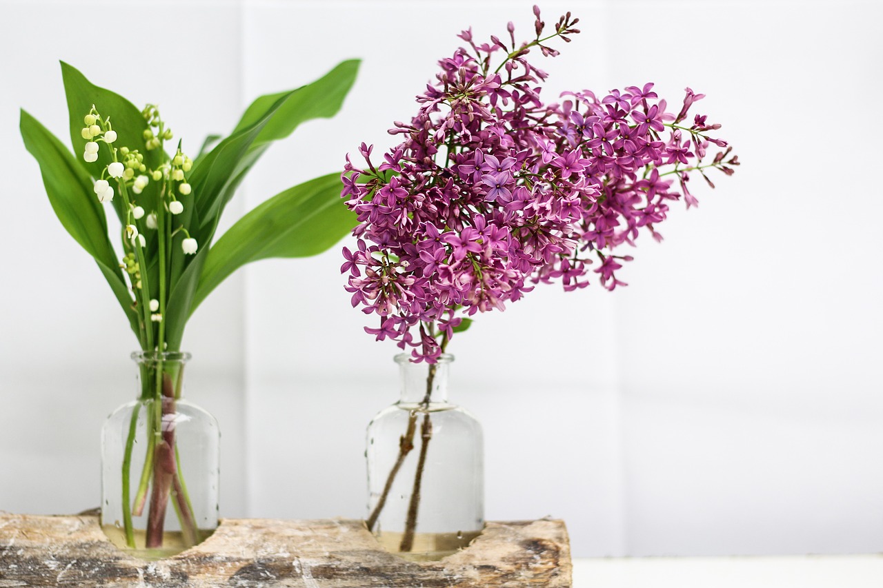 Image - thrush lilac flower bell spring