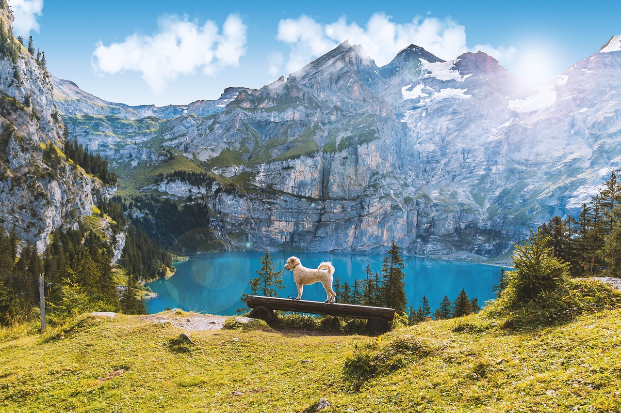 Image - lake oeschinen switzerland mountains