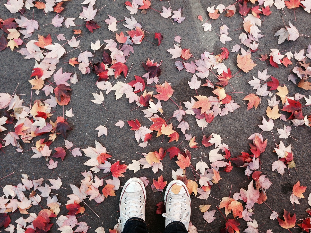 Image - fall leaves portland converse