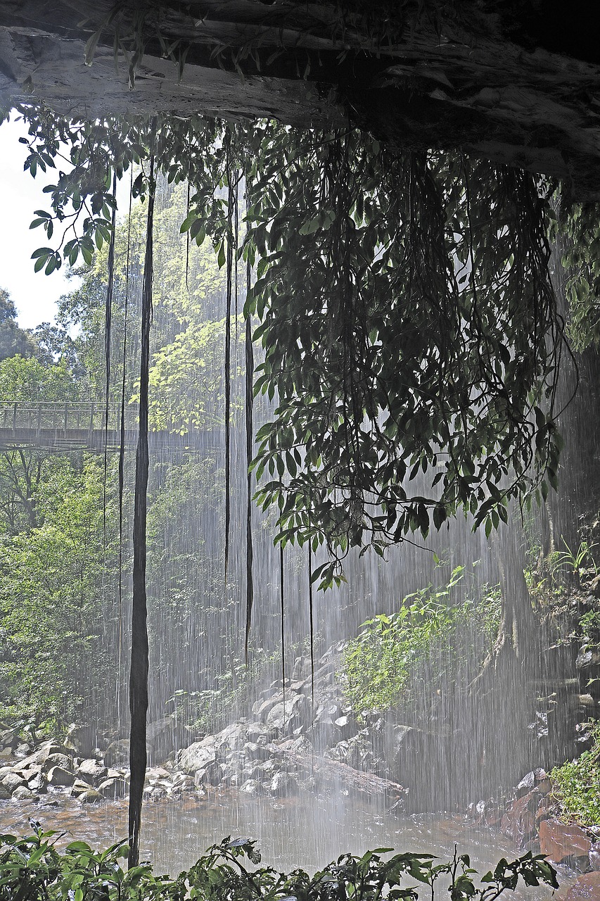 Image - waterfall trees scenic idyll