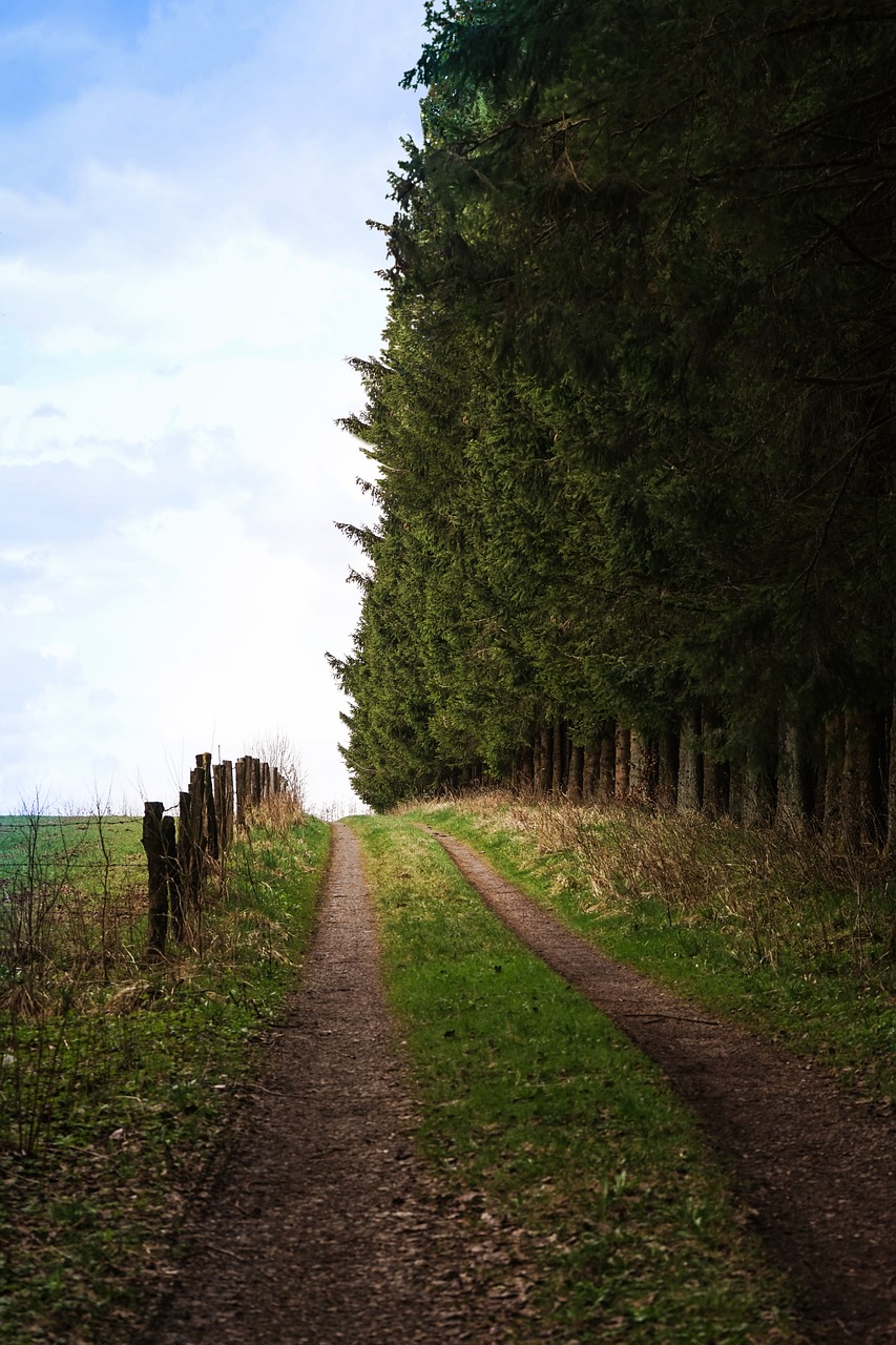 Image - away forest field fence