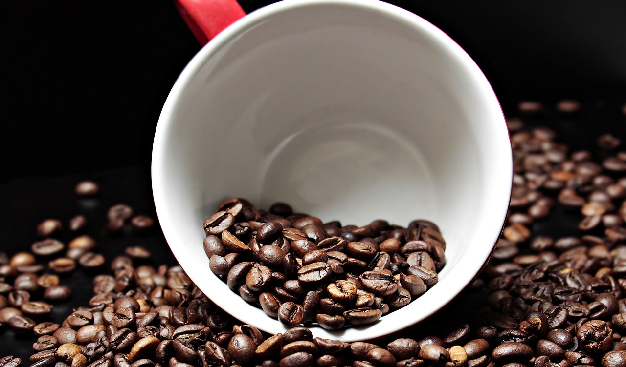Image - coffee beans coffee cup cup coffee