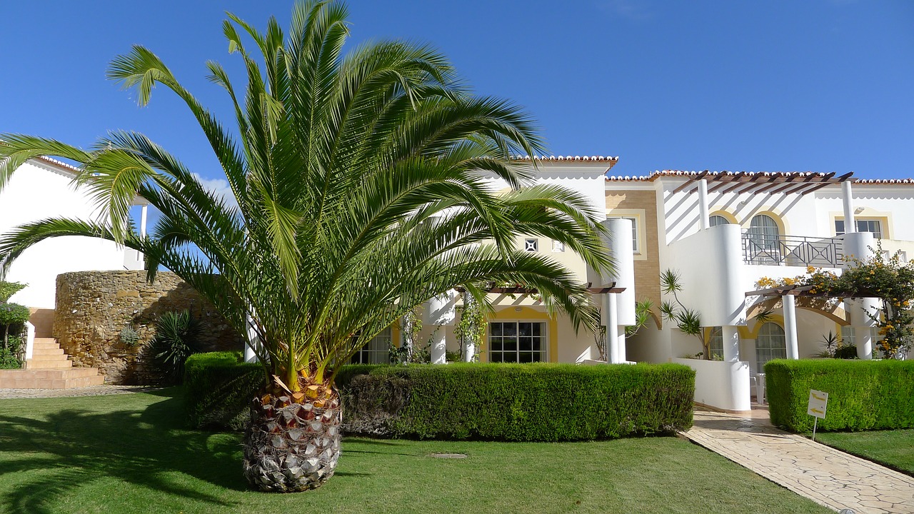 Image - palm tree hotel portugal