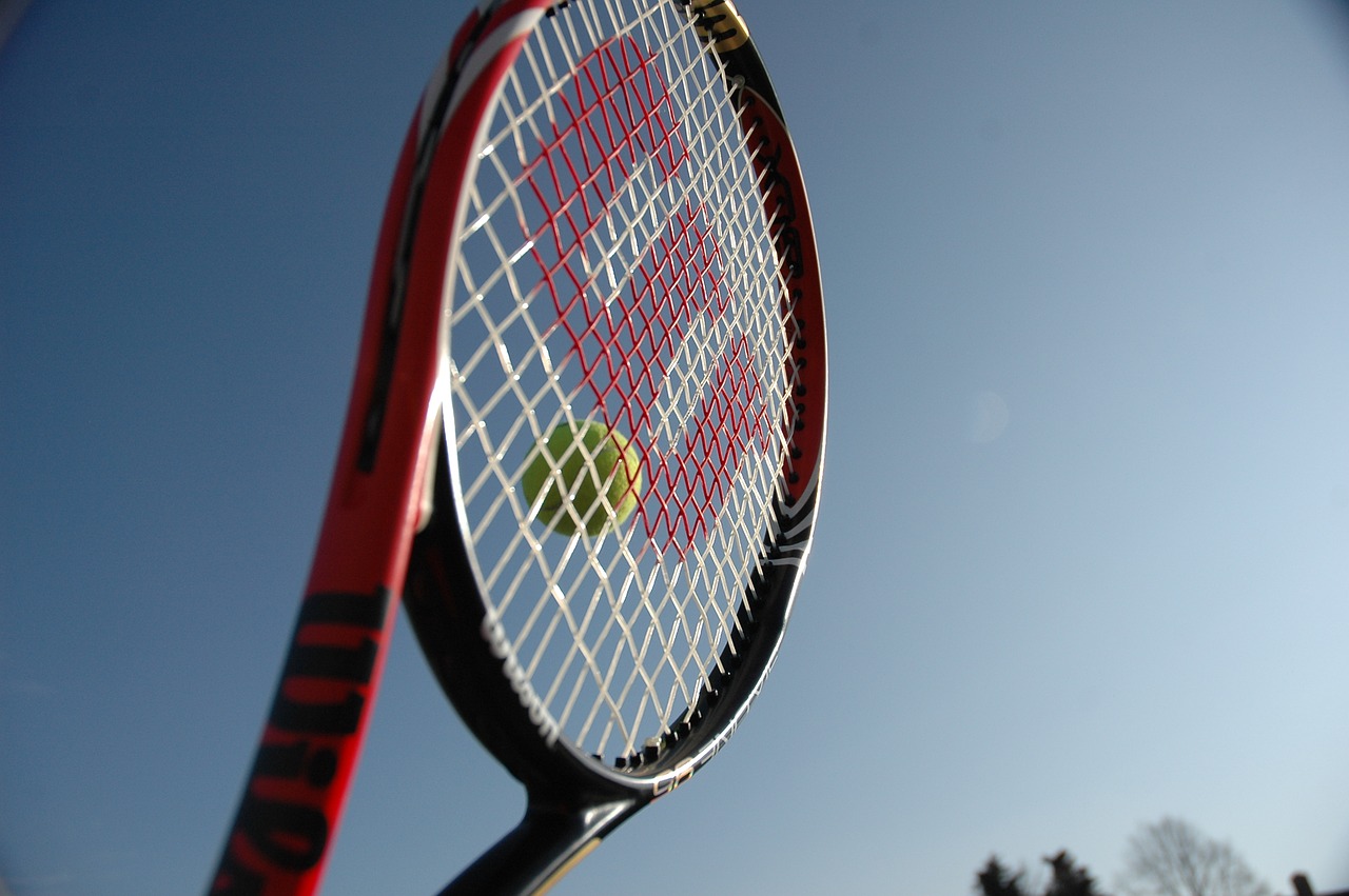 Image - wilson tennis racket