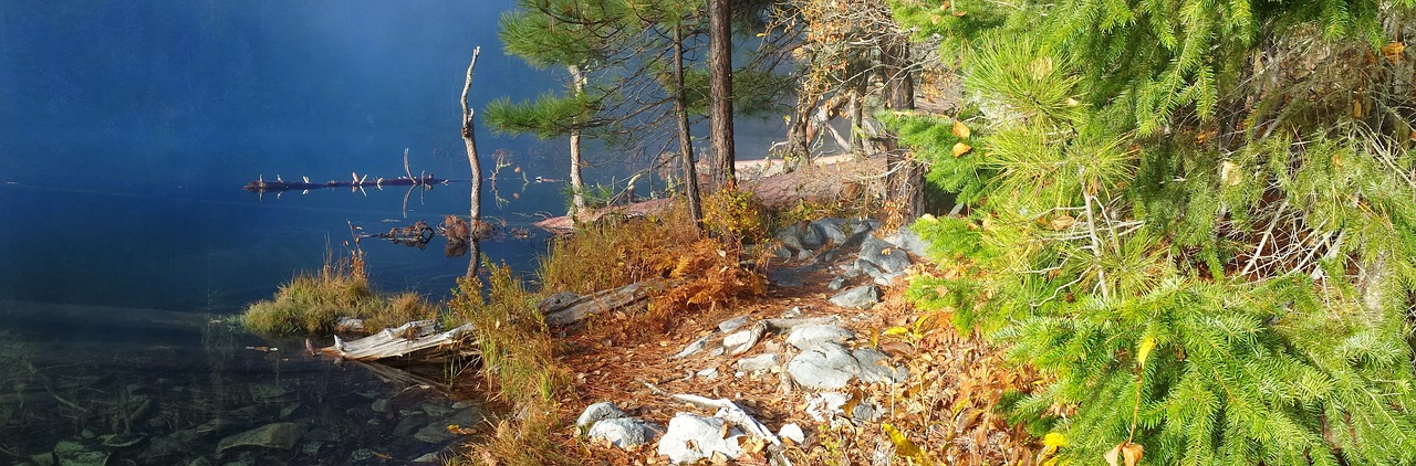 Image - nature lake lake shore landscape