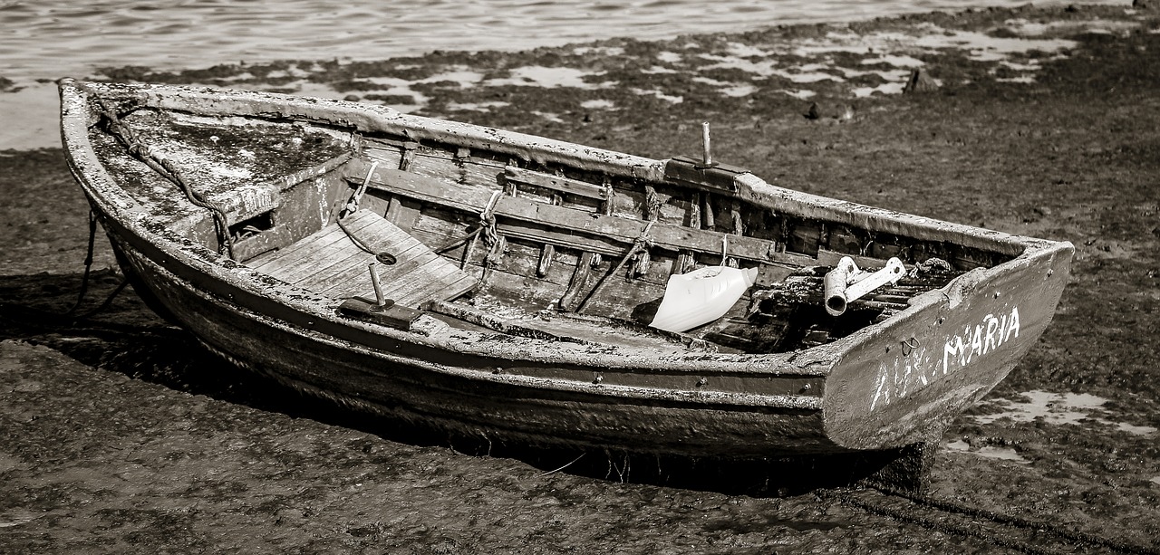 Image - barca fishing sea fishermen boat