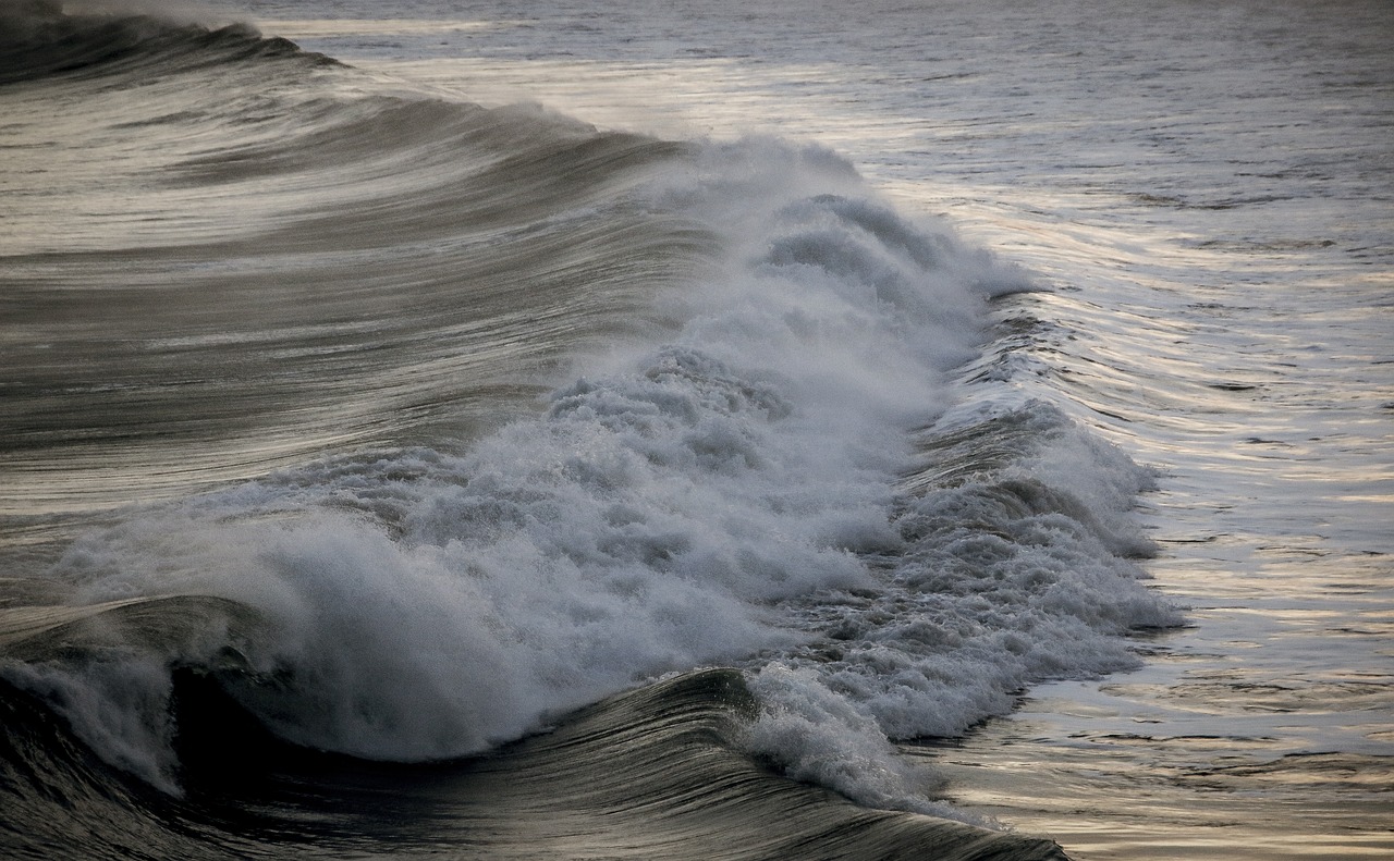 Image - wave sea water beach foam nature