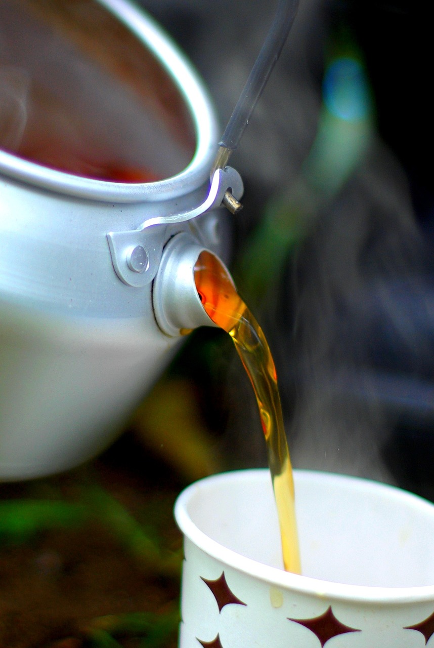 Image - tea camp forest glass hot water