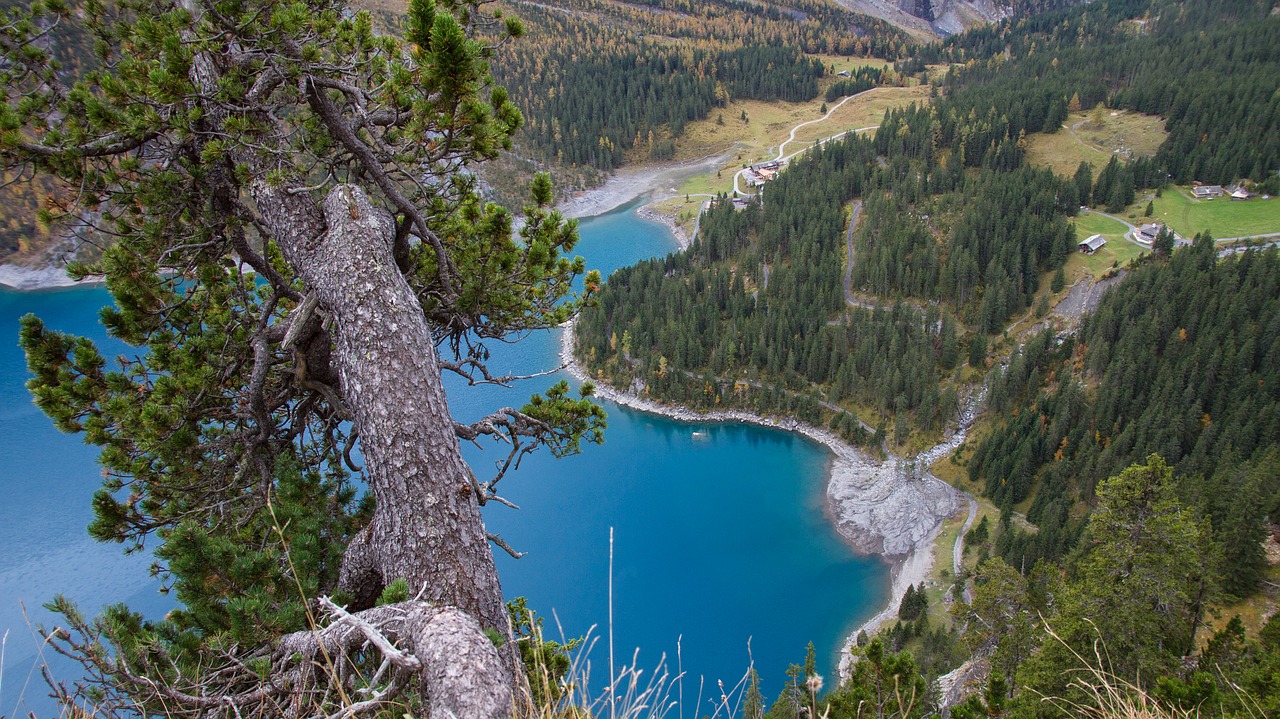 Image - bergsee tree lake oeschinen