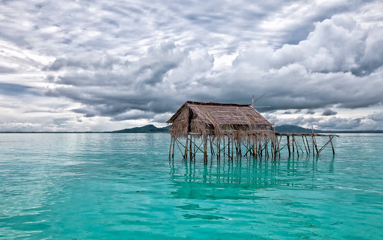 Image - the shallow sea the water shed