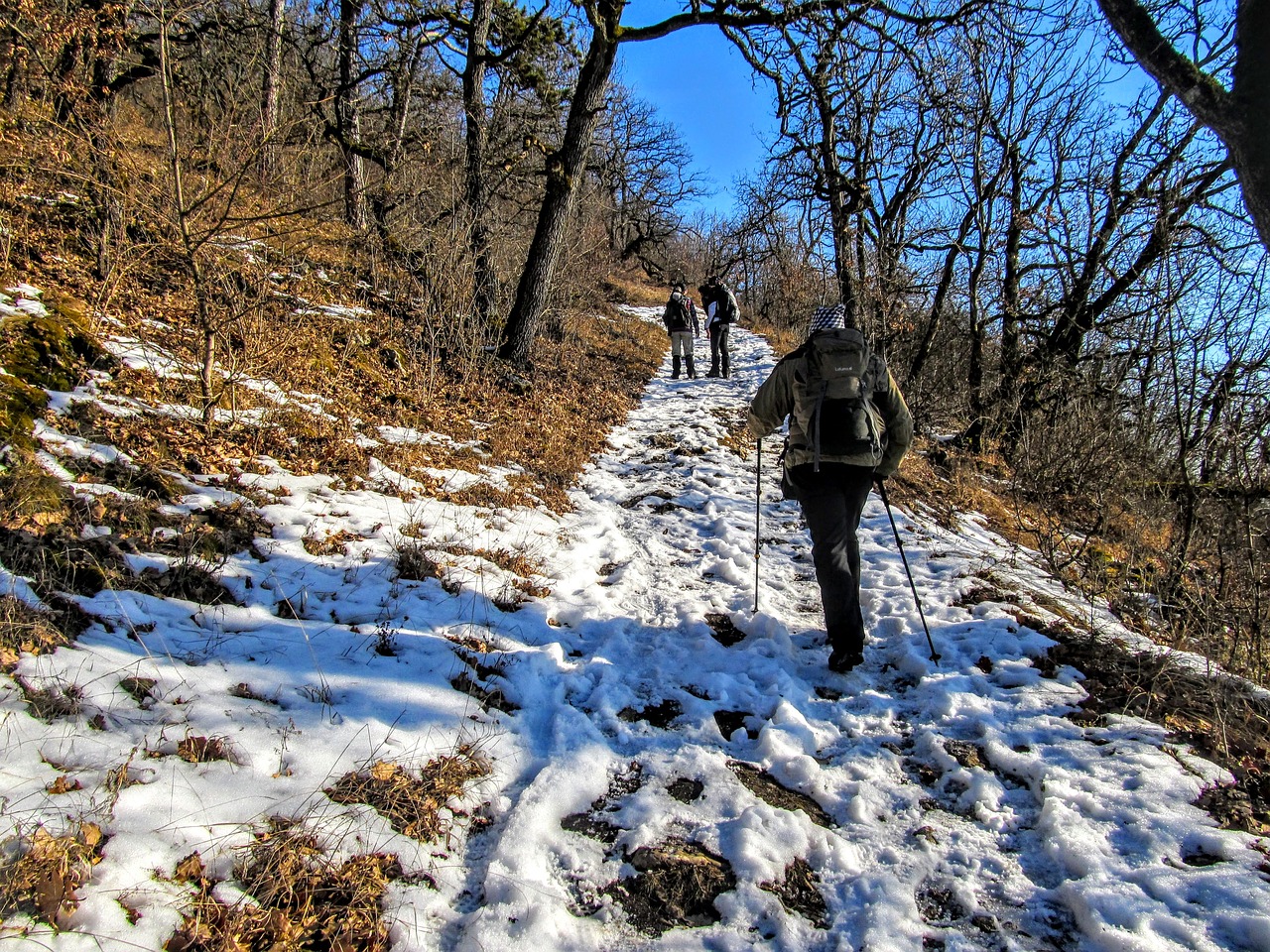 Image - winter tour mountain coach sunny