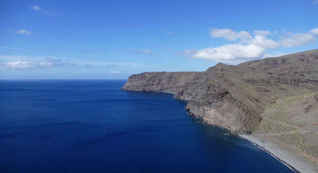 Image - la reptiles canary island island