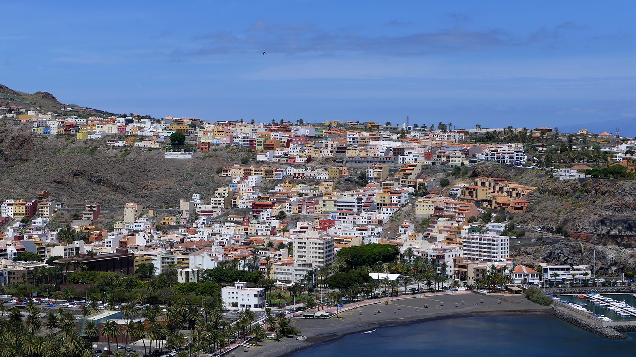 Image - la reptiles canary island island