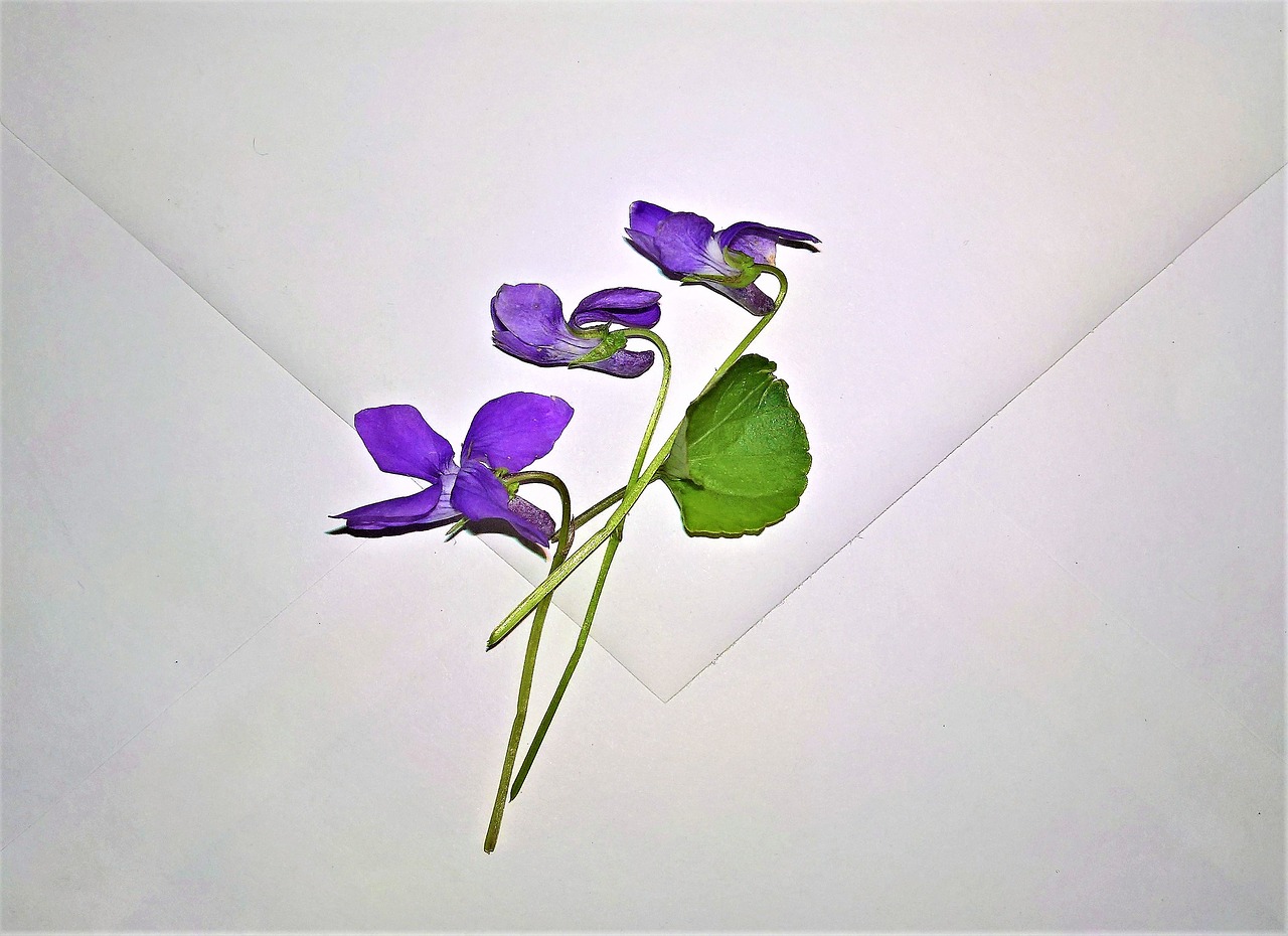 Image - envelope violet small flowers