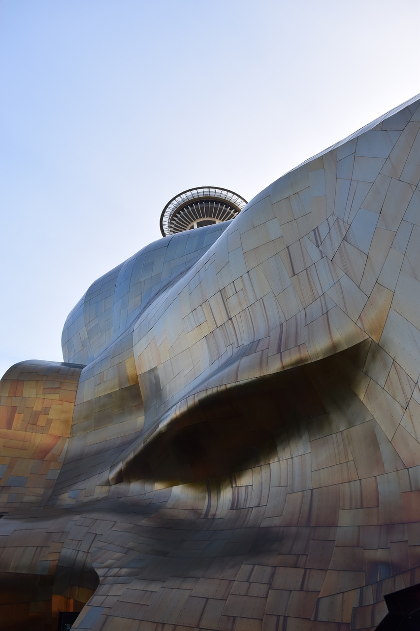 Image - emt seattle frank gehry museum