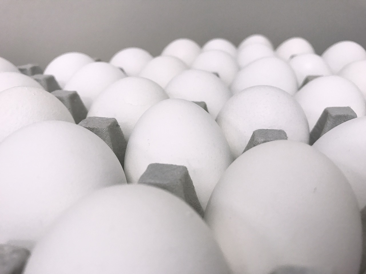 Image - eggs macro white grey easter