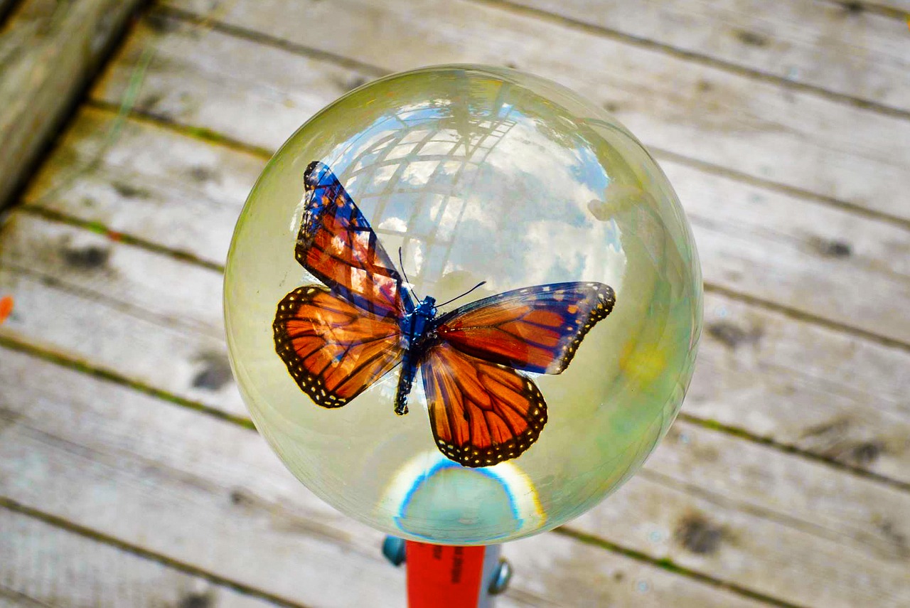 Image - butterfly display garden canada